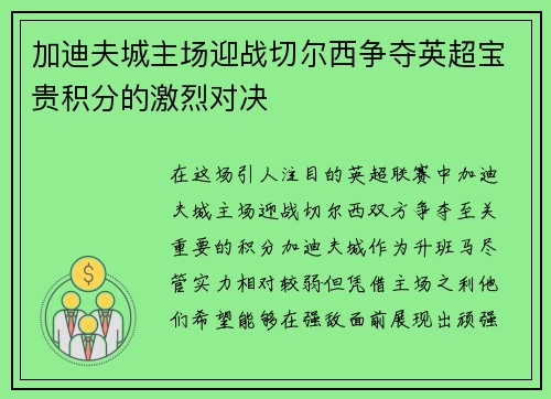 加迪夫城主场迎战切尔西争夺英超宝贵积分的激烈对决