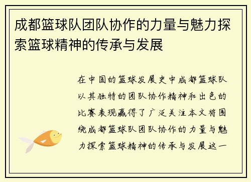 成都篮球队团队协作的力量与魅力探索篮球精神的传承与发展